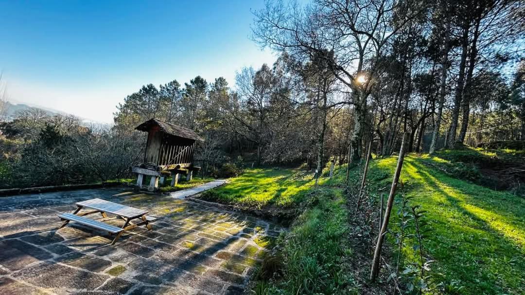Eira Das Carvalhas Penafiel Ngoại thất bức ảnh